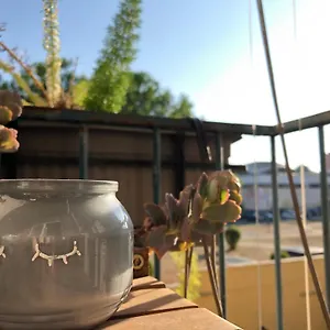 Ozio Roma